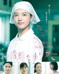 ͸����ҡ��