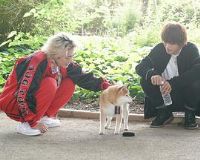 ����MG5�ر�ƪ